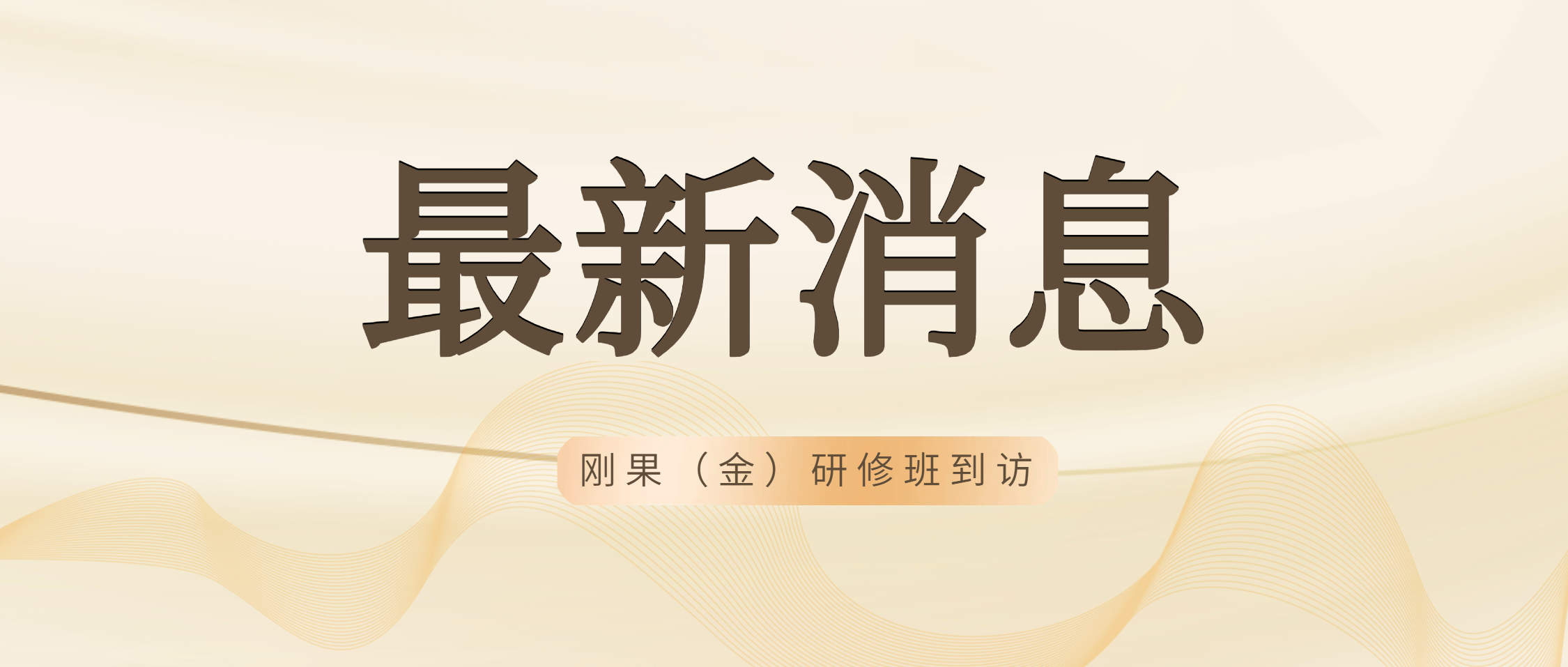 刚果（金）矿产开发与管理研修班到访金沙9001cc官网集团 共绘矿业合作美好未来